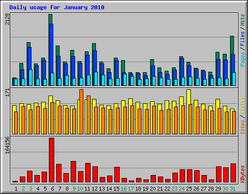 Daily usage for January 2010