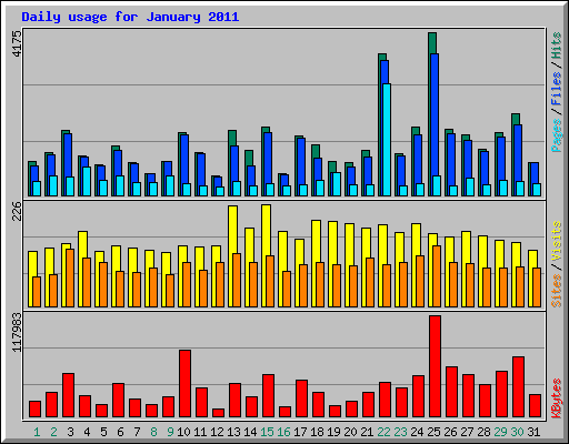 Daily usage for January 2011