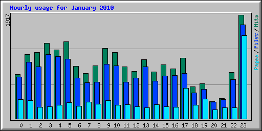 Hourly usage for January 2010