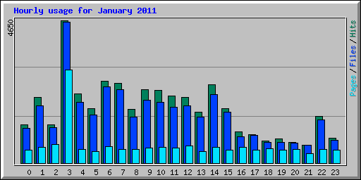 Hourly usage for January 2011