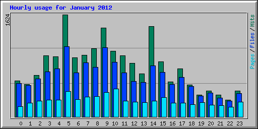 Hourly usage for January 2012