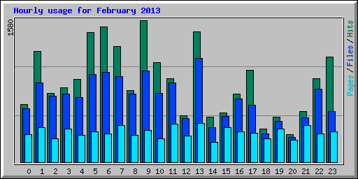 Hourly usage for February 2013