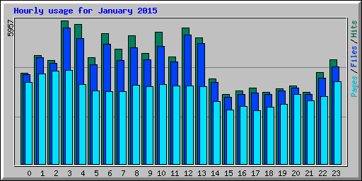 Hourly usage for January 2015