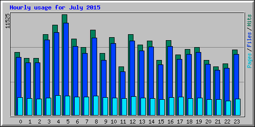 Hourly usage for July 2015