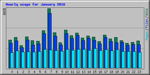 Hourly usage for January 2016