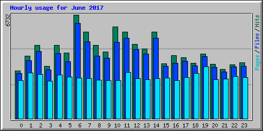 Hourly usage for June 2017