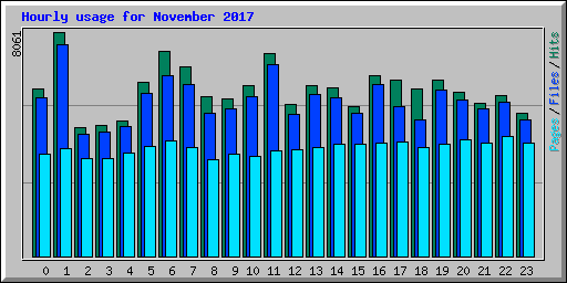 Hourly usage for November 2017