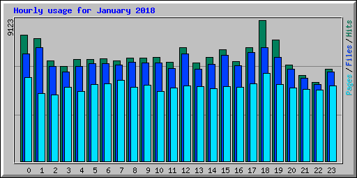 Hourly usage for January 2018